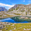 Veľké žabie pleso Mengusovske