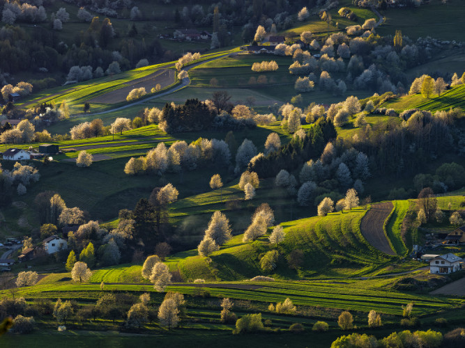 Buď svetlo Hriňová