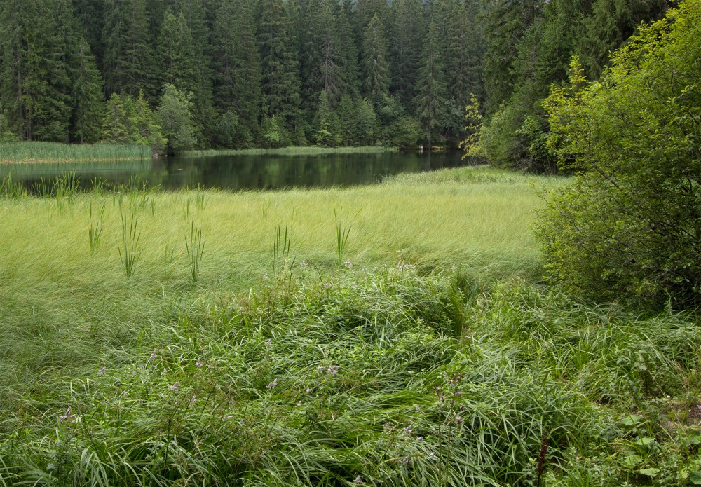 Vrbické pleso