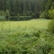 Vrbické pleso