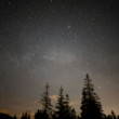 Stars