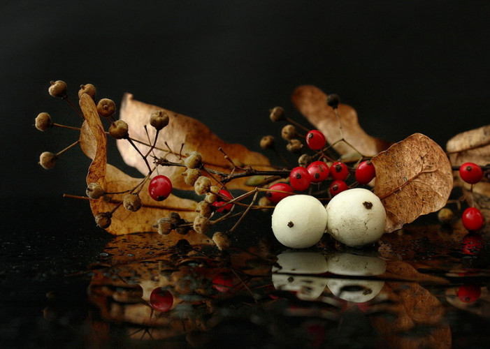 jesenné zátišie