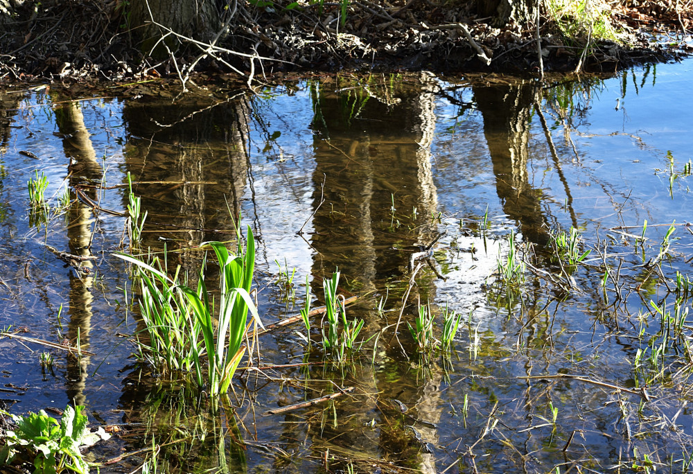 Reflexy 1