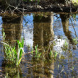 Reflexy 1