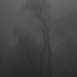 strom
