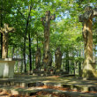 Kalvária