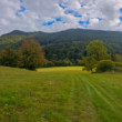 Pod Veľkou Malenicou