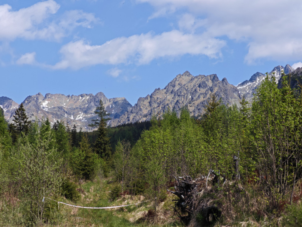 Vysoké Tatry