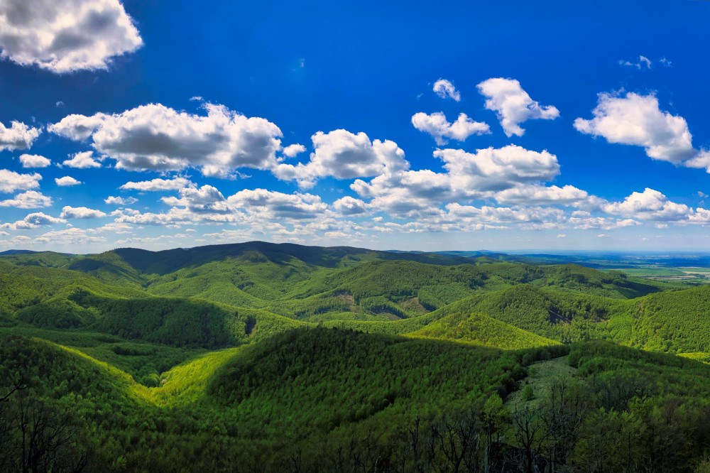 Vysoká (754mnm) - prírodná rezervácia