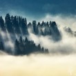 "Mystérium krajiny"