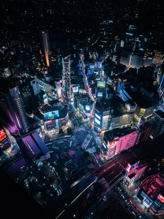 Shibuya Crossing