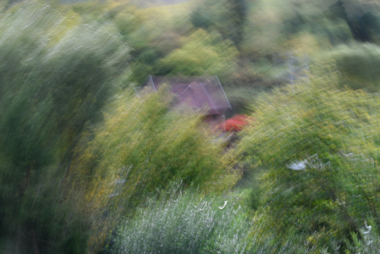 icm