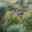 icm