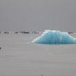 Svalbard