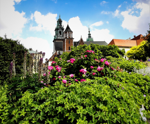 Rozkvetlý Wawel