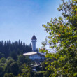 Žifcakova