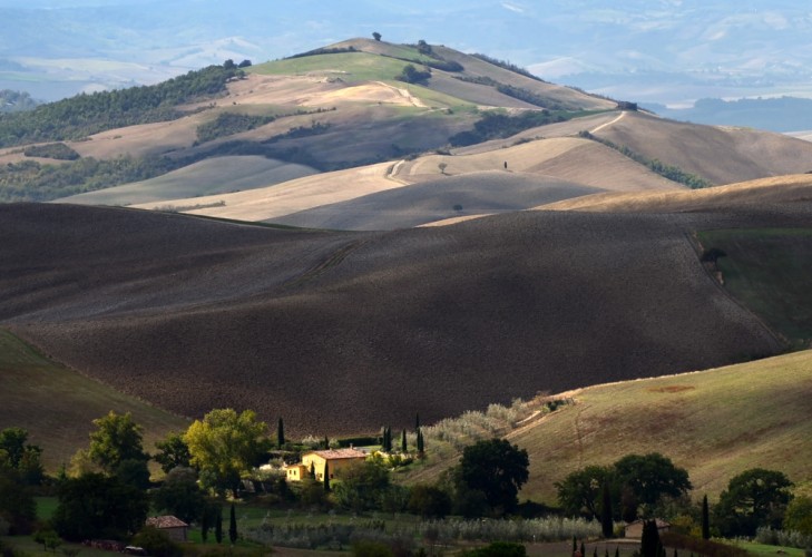 .. farma ...