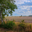 Koniec leta