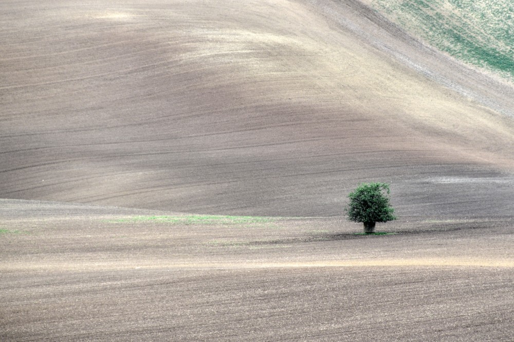 osamelý