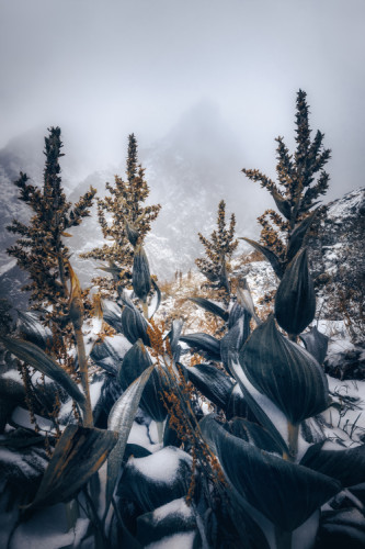 Leto vo Vysokých Tatrách