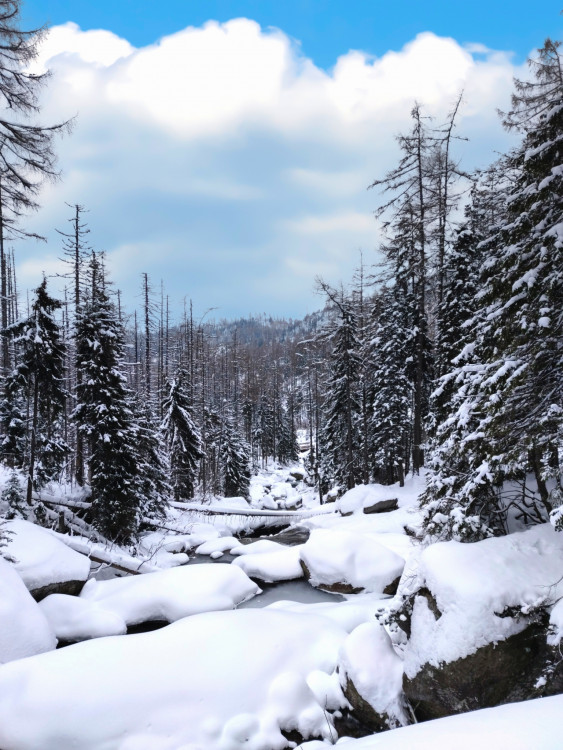 Zimné Tatry