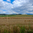 Turiec