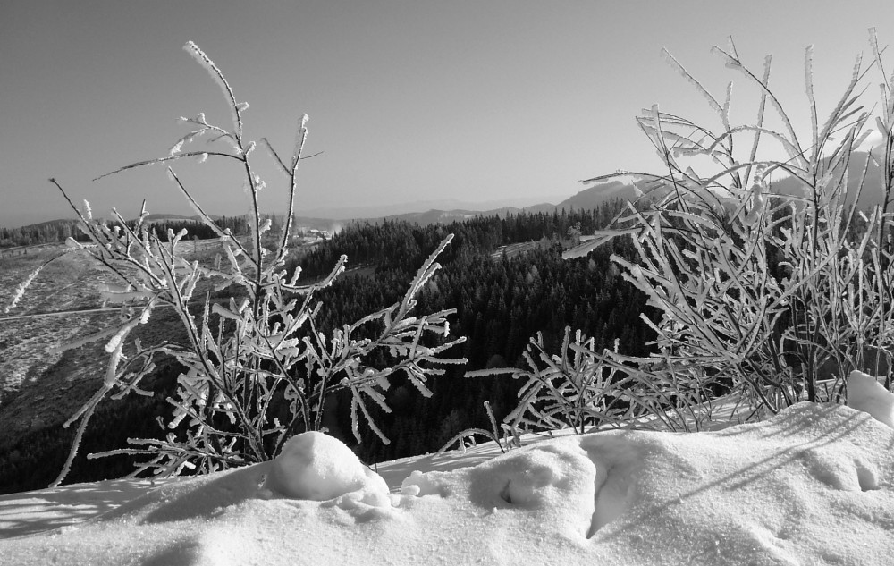 mrazivá krajina