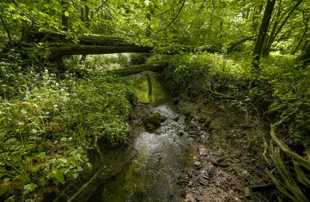 Potůček