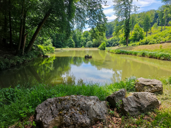 Malé Karpaty