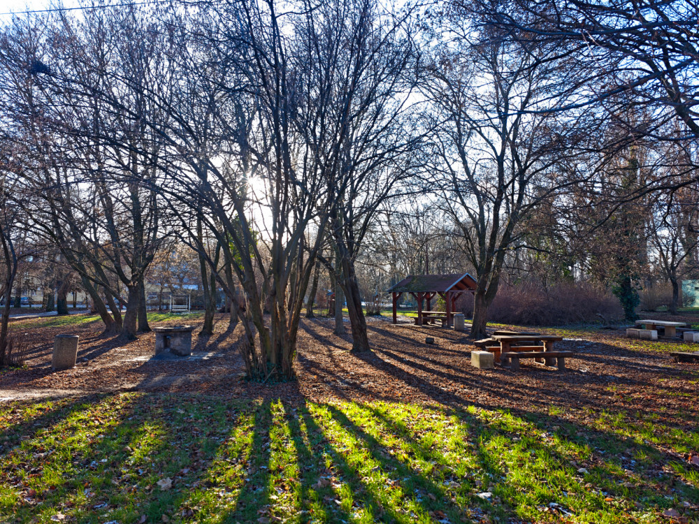 Trnavská zima bez snehu