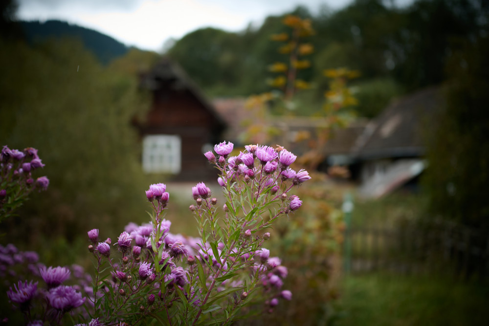 dedinská