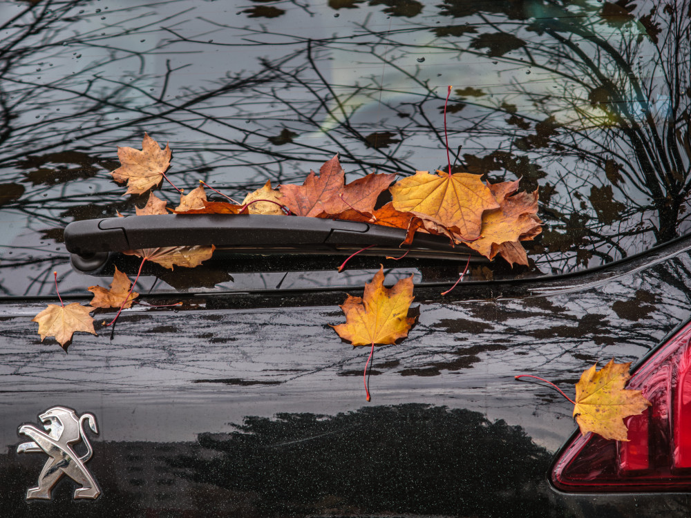 Jesenné lístie za stieračom auta...
