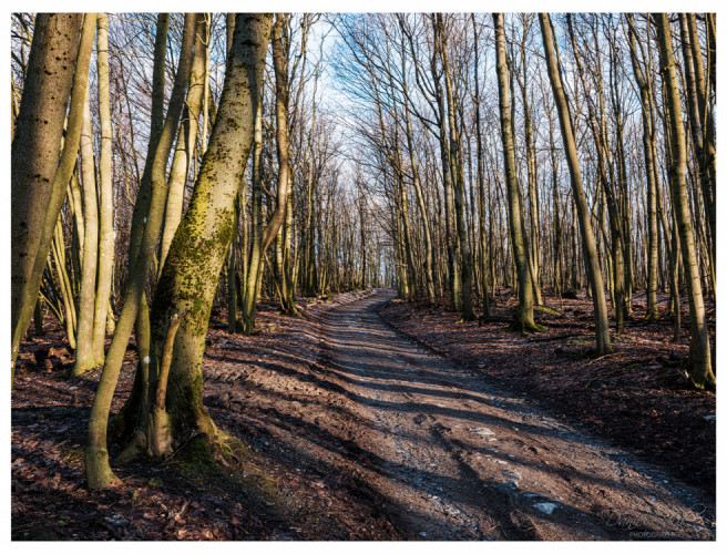 Lesný pokoj, Panorama, hra zo svetlom