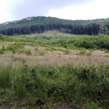 Čierna skala
