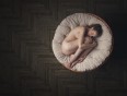 Tomas Paule / Sleeping Beauty