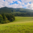 Pod Veľkou Malenicou