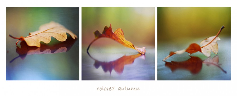 colored autumn