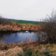 Osamotená
