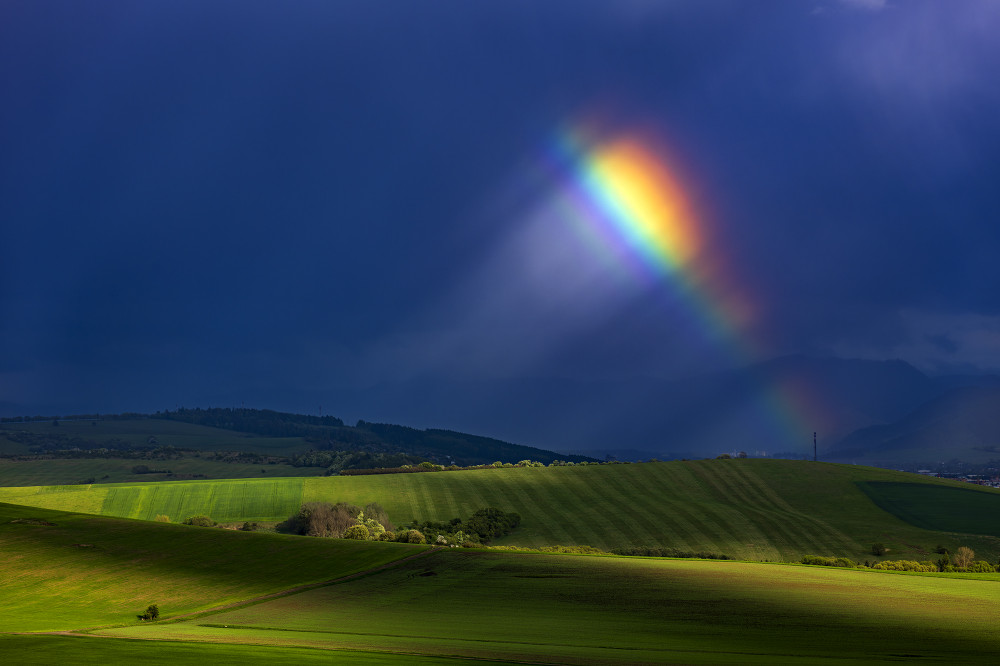 Fiat Lux