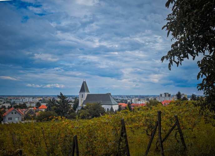 Vinohrady