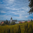 Vinohrady