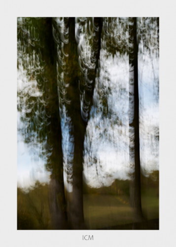 ICM (Intentional Camera Movement)
