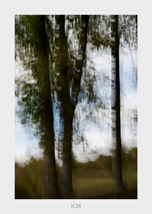 ICM (Intentional Camera Movement)