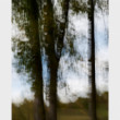 ICM (Intentional Camera Movement)