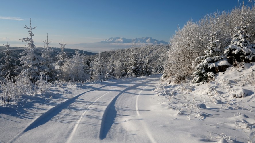 z Levočských Vrchov