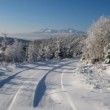z Levočských Vrchov