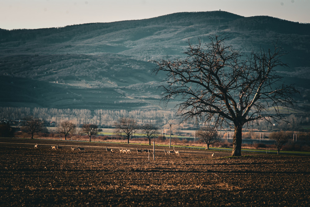 Výhľad na Karpaty