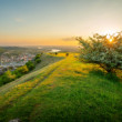 Západ slnka nad Hainburgom
