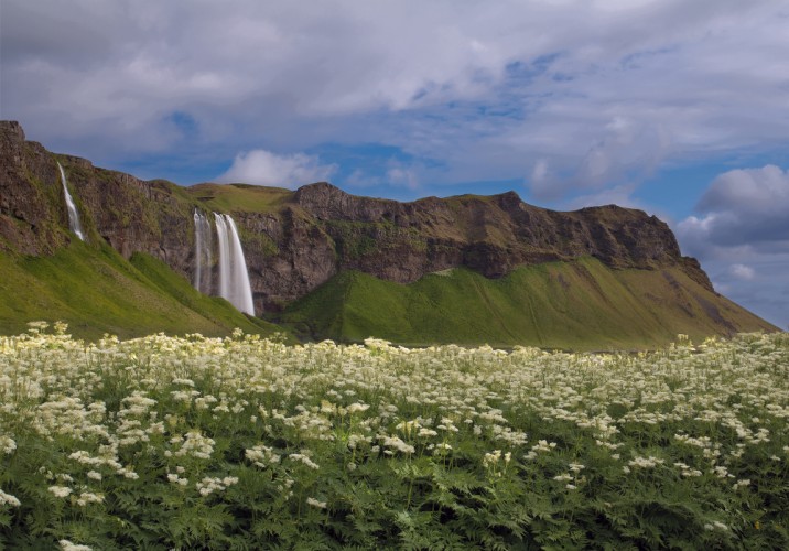 Seljalandsfoss