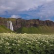 Seljalandsfoss